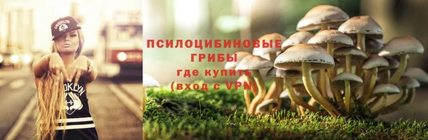 ГАЛЛЮЦИНОГЕННЫЕ ГРИБЫ Абаза