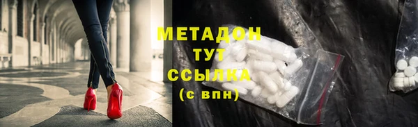 прущие грибы Аркадак
