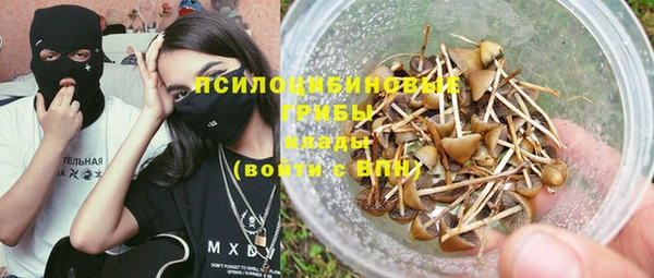 крисы Алзамай