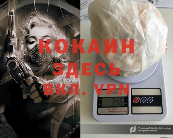 ГАЛЛЮЦИНОГЕННЫЕ ГРИБЫ Абаза