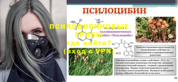 ГАЛЛЮЦИНОГЕННЫЕ ГРИБЫ Абаза