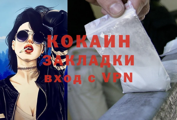 крисы Алзамай