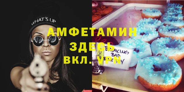 крисы Алзамай
